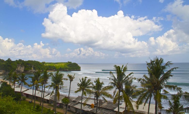 Learn Surfing Bali