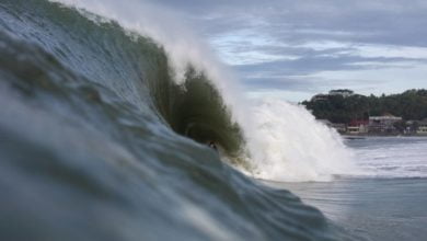 Photo of “Fish On The Reef” – Nias XXL Through The Lens of Stefan Götzelmann