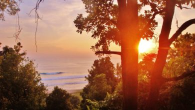 Photo of Non-Surfer on a Surf Trip, On A Remote Sumatran Island