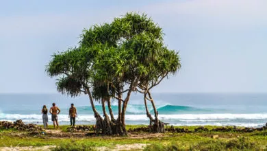 Photo of Volunteering Before Surfing, Meet Ryan – Founder of LOG Rote