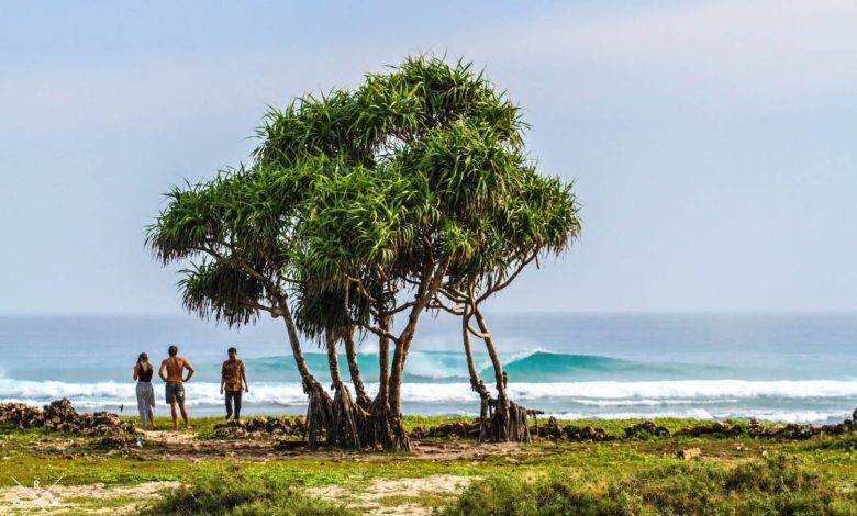 Volunteering Surfing