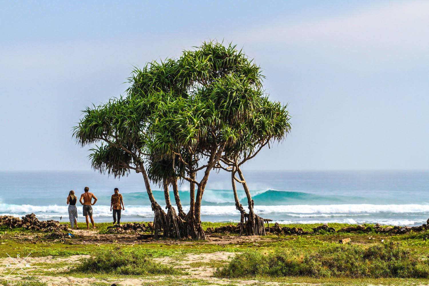 Volunteering Surfing