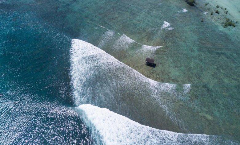 Mentawai Surf Boat or Resort