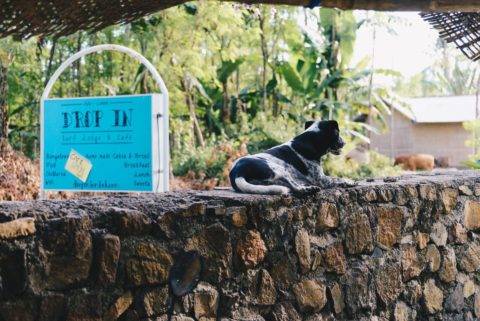 Drop In Lodges Lombok