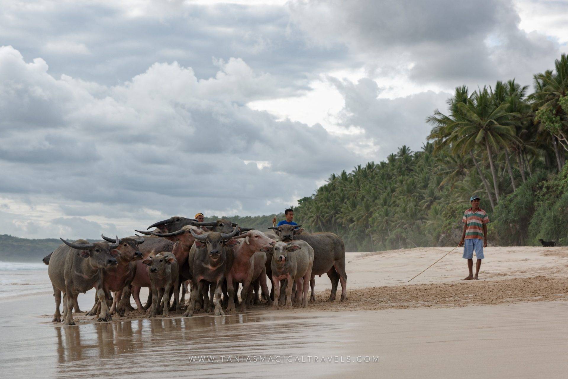 Nihiwatu Sumba Photography