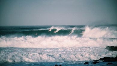 Photo of Eddie Would Go – A Tribute to The Hawaiian Surf Legend