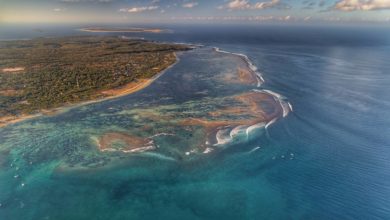 Photo of Surfing T-Land, Rote – Another Surf Paradise Just a Few Hours Away From Bali