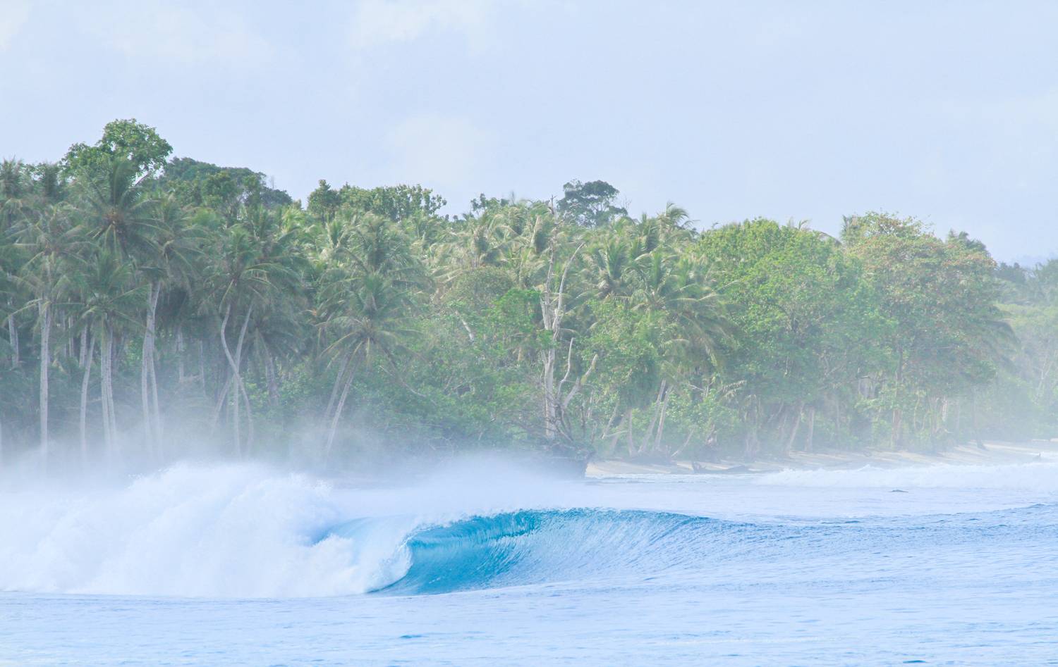 Sibon Explorer Mentawai