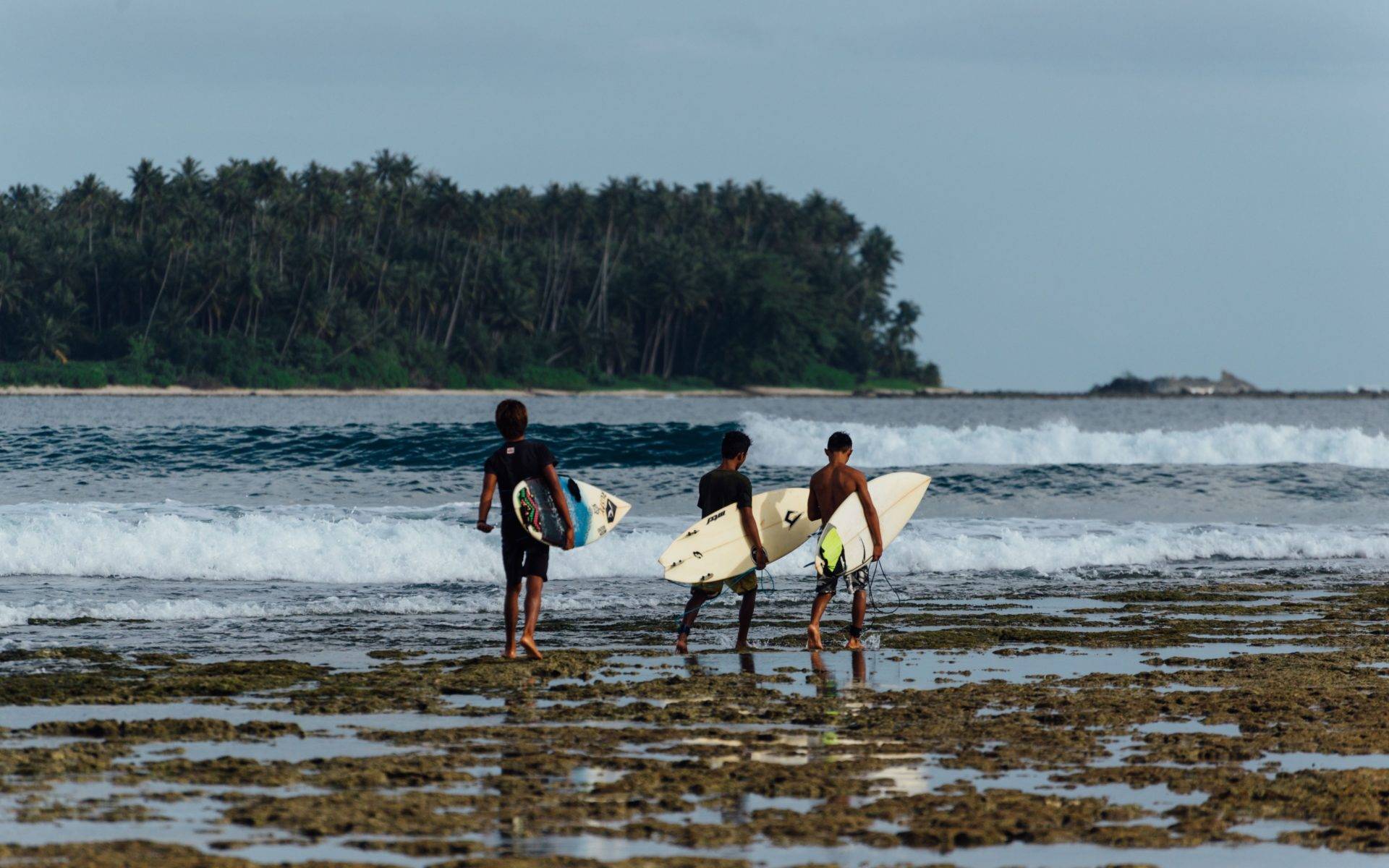 Nias surfing