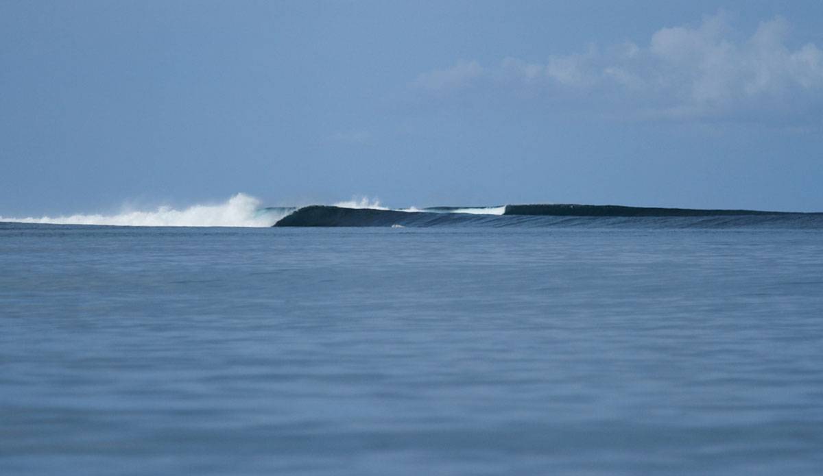 Off The Beaten Track Surf