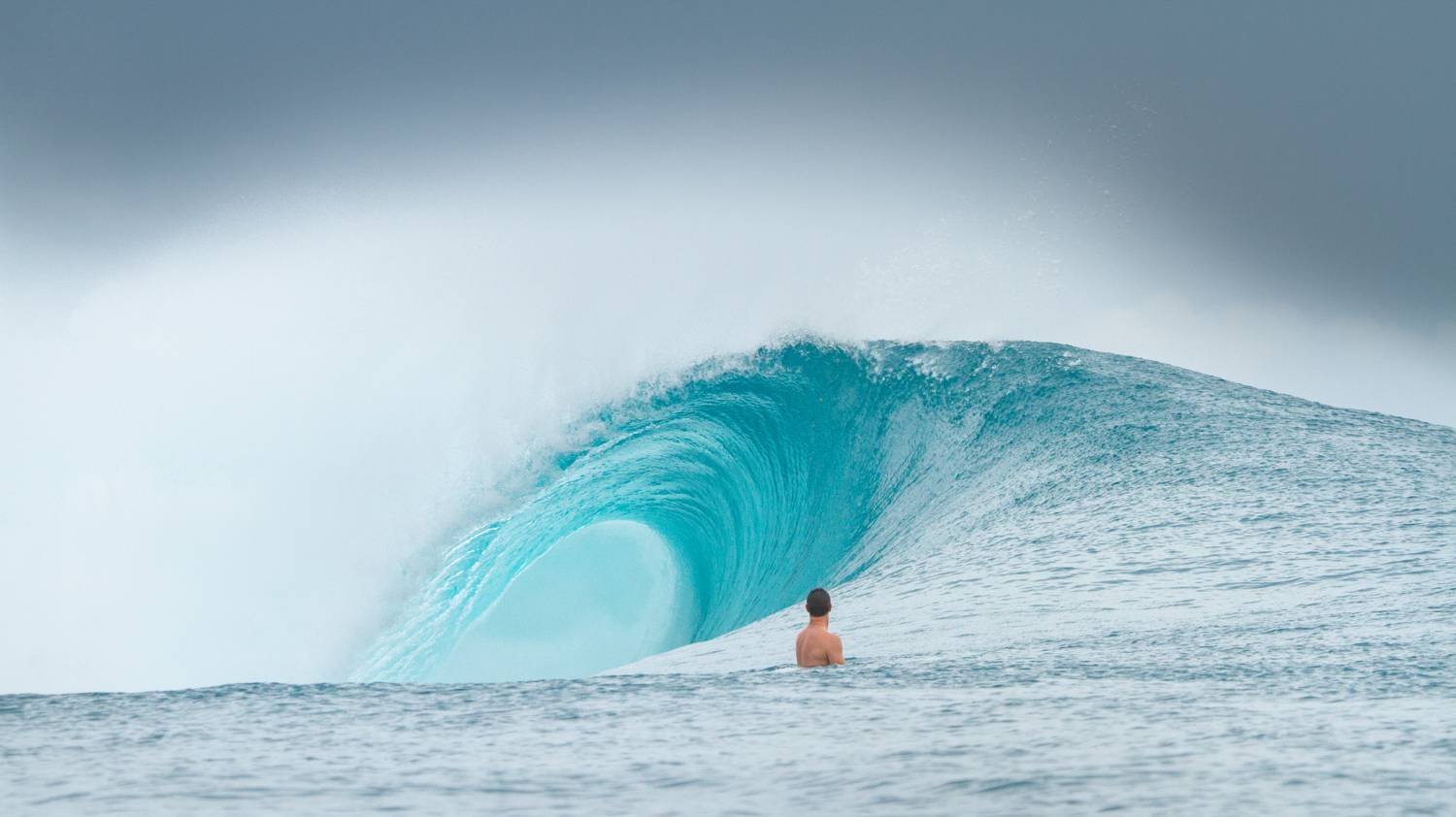 Sibon Explorer Mentawai