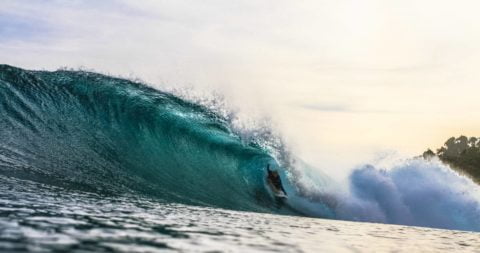Mahi Mahi Surf Resort