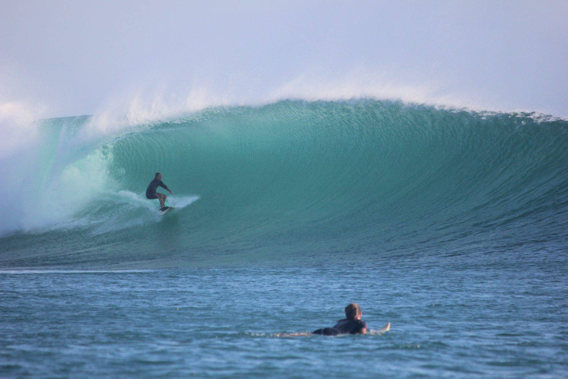 Surfing T-Land Rote