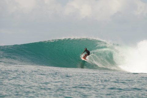 Shadow Mentawai