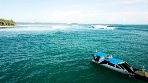 Surfing Mentawais