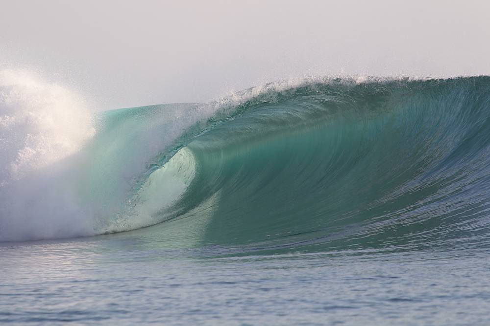 Surf G Land