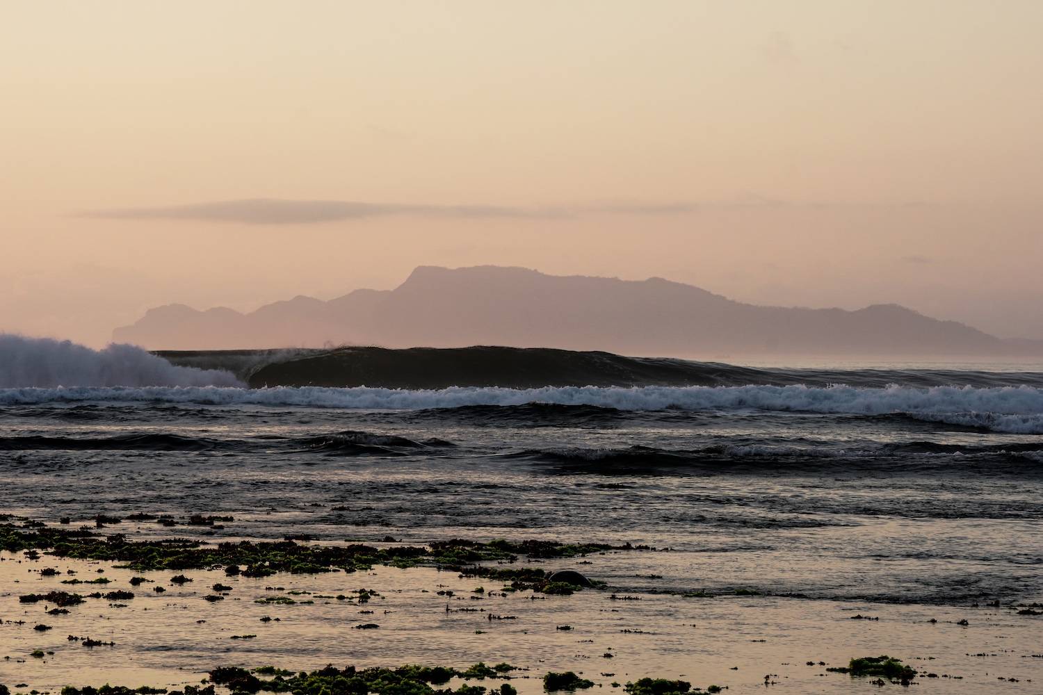 Surf G Land
