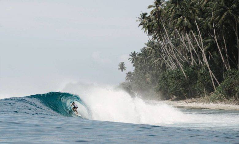 Surf Coaching Retreats