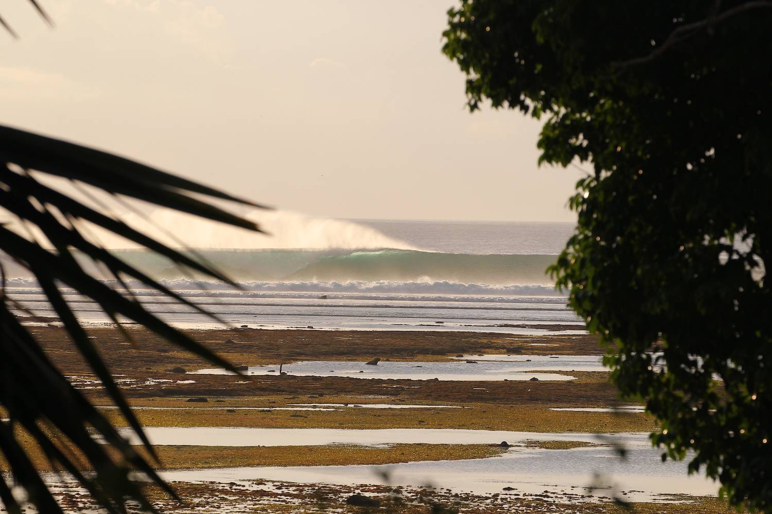 Surf G Land