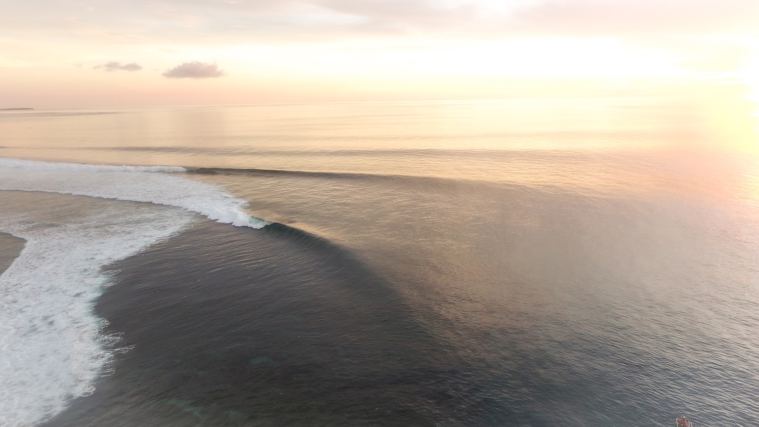 Mentawai Surf Coaching