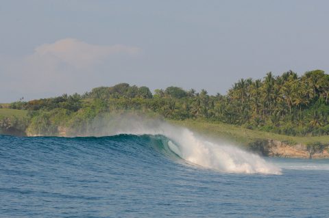 Surf Coaching Retreat