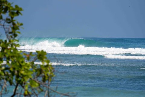 Krui South Sumatra