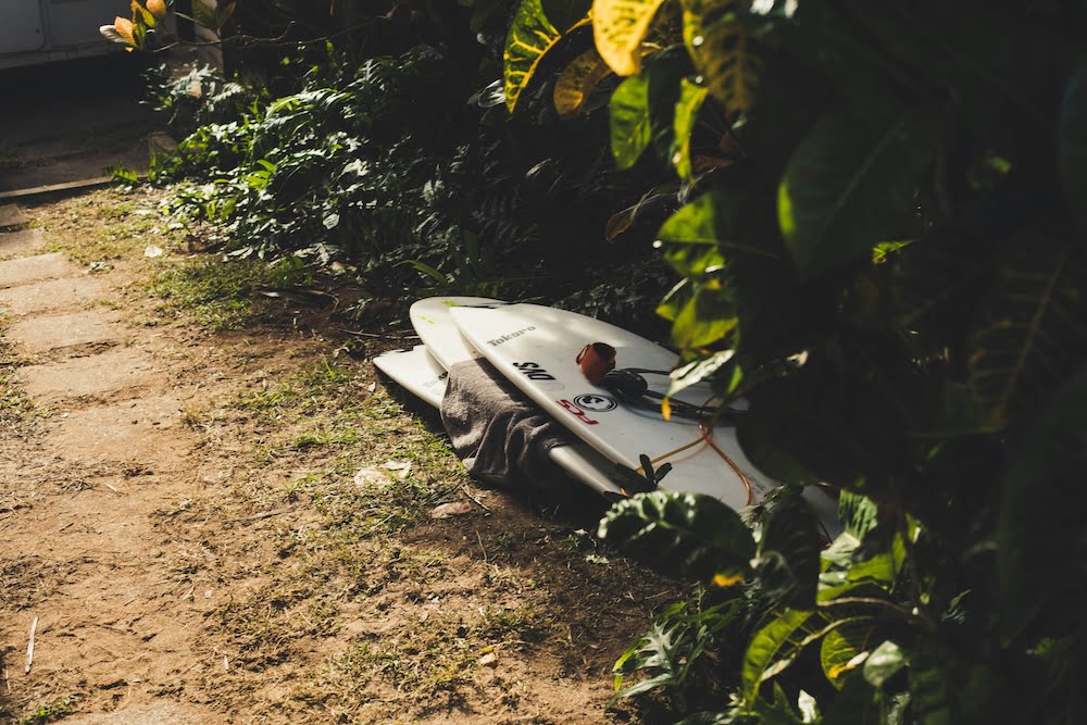 Surfboards lying in the shade under a tree with the sun shining on them.