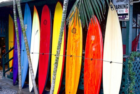 Colourful surfboards lined up on a rack.