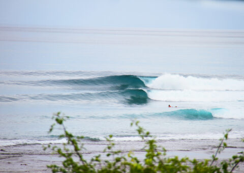 Intermediate Surf Coaching
