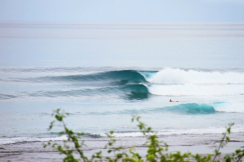 Intermediate Surf Barrel Waves