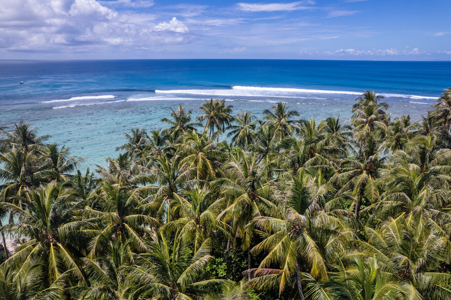 Surf Coaching Retreat