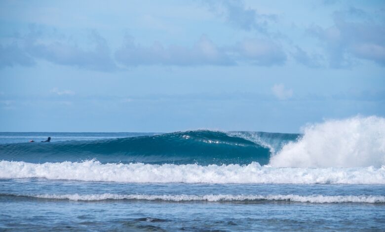 Surf Coaching Retreat